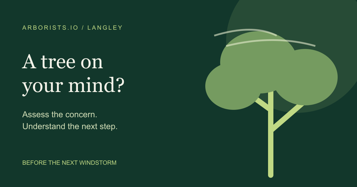 Assess the concern and understand the next step before windy weather